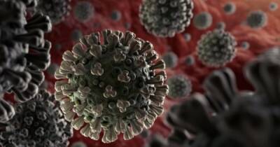 Свежий воздух "убивает" коронавирус за 20 минут, — ученые - dsnews.ua
