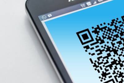 Власти Чувашии подготовят список гипермаркетов с доступом по QR-коду - cheb.mk.ru - республика Чувашия