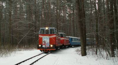 Детская железная дорога за новогодние праздники перевезла более 5,4 тыс. пассажиров - belta.by - Белоруссия - Минск