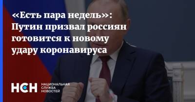 Владимир Путин - «Есть пара недель»: Путин призвал россиян готовится к новому удару коронавируса - nsn.fm - Россия