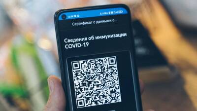 Песков прокомментировал новость о введении QR-кодов в транспорте России - inforeactor.ru - Россия