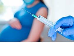 Pfizer и Moderna массово вакцинируют беременных. Результаты ужасают - newsland.com - Россия - Сша - Англия