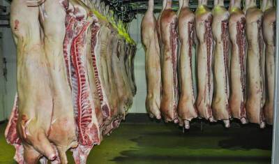 Россия приостановила импорт мяса и молока из Казахстана после вспышки опасной болезни - newizv.ru - Россия - Казахстан