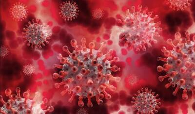 Джонс Хопкинс - В мире коронавирусной инфекцией заразились более 2 млн человек, свыше 6 тыс. умерли - neva.today - Россия - Санкт-Петербург - Франция - Турция - Сша - Англия - Италия - Индия - Бразилия - Аргентина - Болгария
