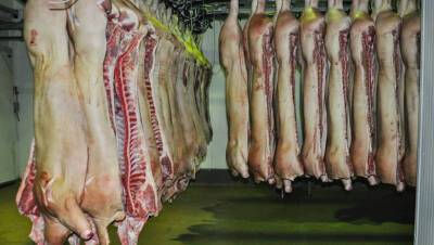 Россия приостановила импорт мяса и молока из Казахстана после вспышки опасной болезни - newsland.com - Россия - Казахстан