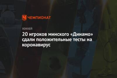 20 игроков минского «Динамо» сдали положительные тесты на коронавирус - championat.com - Минск