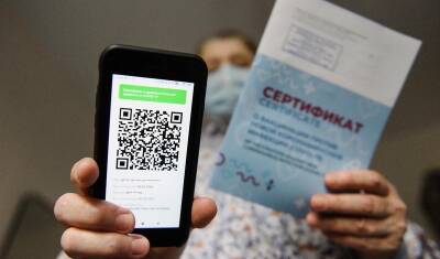 Большинство граждан выступили против введения QR-кодов в общественных местах - newizv.ru - Санкт-Петербург - Москва - Новосибирск