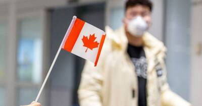 В Канаде невакцинированному отцу запретили видеться с сыном, чтобы уберечь от вируса - focus.ua - Украина - Канада