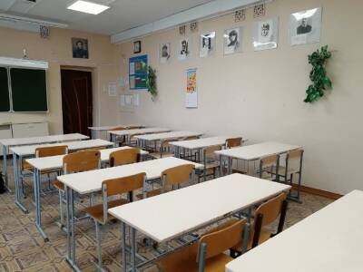 Правительство Башкирии исключило возможность продления школьных каникул - ufacitynews.ru - республика Башкирия