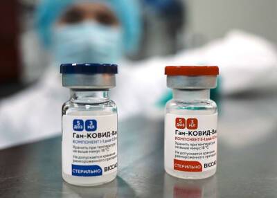 Гинцбург посоветовал пожилым препарат для ревакцинации, это не «Спутник Лайт» - province.ru
