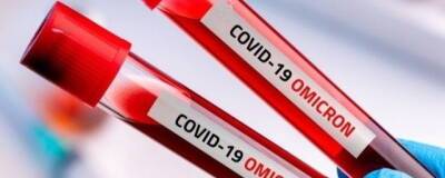 В Японии скончался первый пациент с омикрон-штаммом коронавируса - runews24.ru - Япония