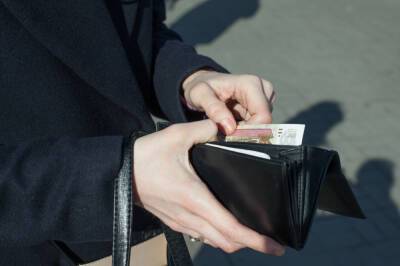 Почти половина россиян вынуждена экономить из-за пандемии - abnews.ru