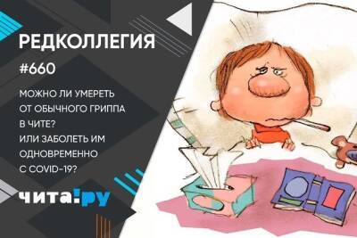 Можно ли умереть от гриппа или заболеть им одновременно с COVID в Чите? - chita.ru - Чита