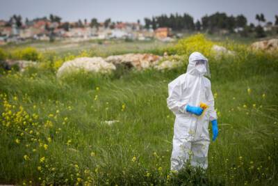 Минздрав опубликовал последнюю информацию о пандемии в Израиле - nashe.orbita.co.il - Израиль - Тель-Авив - Иерусалим - Минздрав