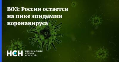 Мелита Вуйнович - ВОЗ: Россия остается на пике эпидемии коронавируса - nsn.fm - Россия