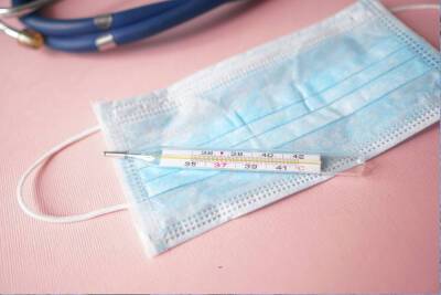 Заболеваемость в Петербурге взлетела до пандемийного максимума - spb.mk.ru - Россия - Санкт-Петербург