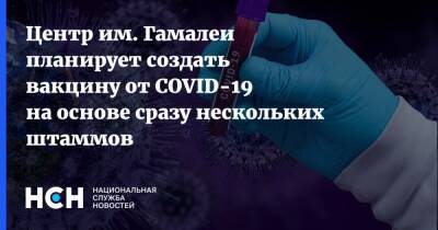 Центр им. Гамалеи планирует создать вакцину от COVID-19 на основе сразу нескольких штаммов - nsn.fm - Россия