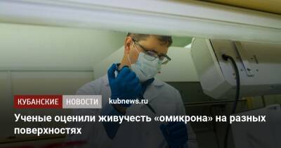 Ученые оценили живучесть «омикрона» на разных поверхностях - kubnews.ru