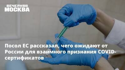 Маркус Эдерер - Посол ЕС рассказал, чего ожидают от России для взаимного признания COVID-сертификатов - vm.ru - Россия - Москва - Евросоюз - Брюссель