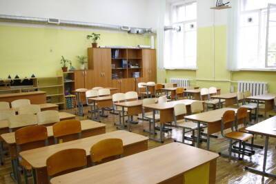В Петербурге выросло количество школьных классов на дистанционном обучении из-за COVID-19 - spb.mk.ru - Санкт-Петербург