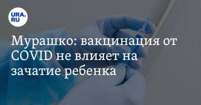 Михаил Мурашко - Мурашко: вакцинация от COVID не влияет на зачатие ребенка - ura.news - Россия