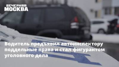 Водитель предъявил автоинспектору поддельные права и стал фигурантом уголовного дела - vm.ru - Москва