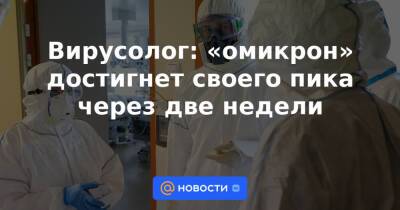Вирусолог: «омикрон» достигнет своего пика через две недели - news.mail.ru - Россия - Сша - Англия