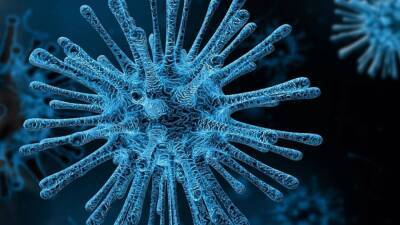 ECDC предупредил о риске двойной пандемии в Европе из-за COVID-19 и сезона гриппа - inforeactor.ru