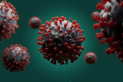 Паси Пенттинен - Регулятор ЕС предупредил о риске двойной эпидемии гриппа и COVID-19 - aif.ru
