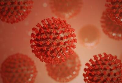 Ученые нашли гены потери обоняния при заражении коронавирусом - online47.ru