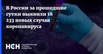 В России за прошедшие сутки выявили 18 233 новых случая коронавируса - nsn.fm - Россия