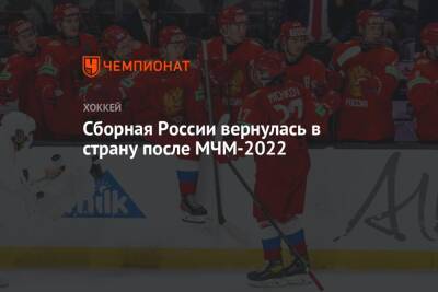 Матвей Мичков - Сборная России вернулась в страну после МЧМ-2022 - championat.com - Россия - Москва - Канада - Швейцария - Швеция