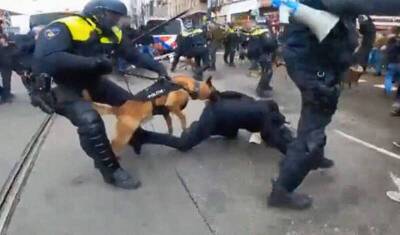 На протестующих против ковидных ограничений в Амстердаме спустили собак - newizv.ru - Амстердам