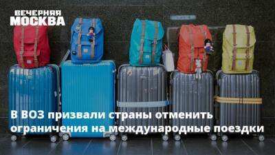 В ВОЗ призвали страны отменить ограничения на международные поездки - vm.ru