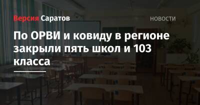 По ОРВИ и ковиду в регионе закрыли пять школ и 103 класса - nversia.ru - Саратовская обл.