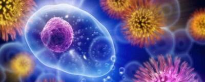 Cell: магний активизирует работу иммунной системы - runews24.ru - Англия - Швейцария