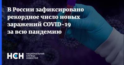 В России зафиксировано рекордное число новых заражений COVID-19 за всю пандемию - nsn.fm - Россия