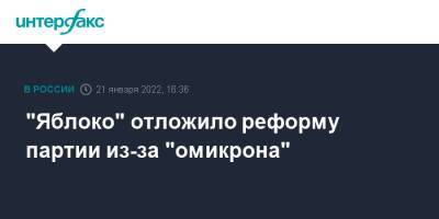 Николай Рыбаков - "Яблоко" отложило реформу партии из-за "омикрона" - interfax.ru - Москва