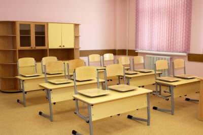 Ученики школы №207 в Новосибирске перешли на дистанционное обучение из-за вирусов - runews24.ru - Новосибирск