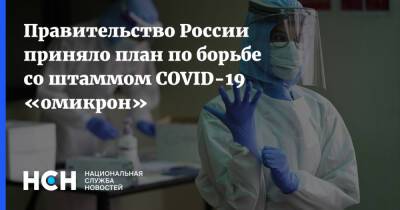 Правительство России приняло план по борьбе со штаммом COVID-19 «омикрон» - nsn.fm - Россия