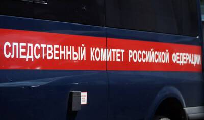СК РФ начал проверку по факту нападения сургутского медика на журналистов - newizv.ru - Россия