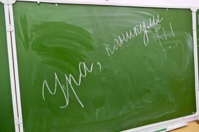 Хабаровские школьники уйдут на дополнительные каникулы в феврале - hab.aif.ru - Хабаровск