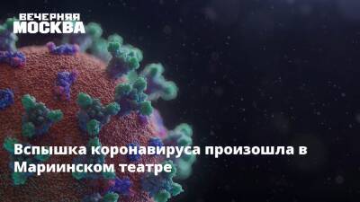 Вспышка коронавируса произошла в Мариинском театре - vm.ru - Санкт-Петербург - Санкт-Петербург