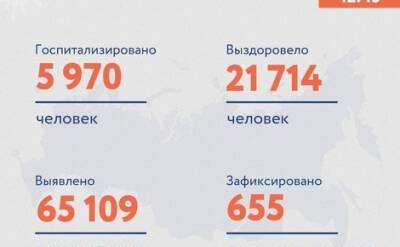 В России за сутки коронавирусом заразились 65 109 человек, выздоровели — 21 714, умерли — 655 - echo.msk.ru - Россия - Москва