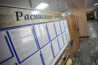 В Челябинской области за сутки коронавирус выявили у 141 школьника - znak.com - Челябинская обл.