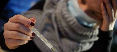 За неделю рост ОРВИ и гриппа в Карелии составил почти 20 процентов - stolicaonego.ru - Петрозаводск - республика Карелия