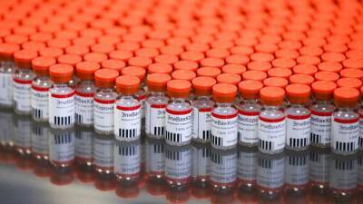 СМИ сообщили о приостановке Минздравом закупки вакцины «ЭпиВакКорона» - iz.ru - Россия - Израиль - Минздрав
