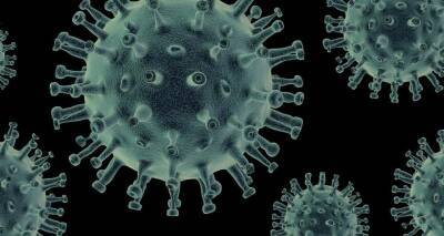 Ученые выяснили, как организм может блокировать все штаммы коронавируса и мира - cursorinfo.co.il - Сша - Израиль