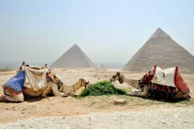 Власти Египта смягчили условия въезда для российских туристов - abnews.ru - Египет