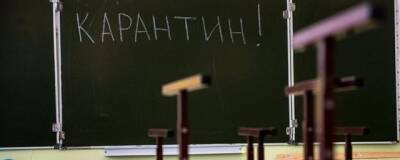 В Казанских школах классы стали закрывать на карантин из-за эпидобстановки по COVID-19 - runews24.ru - Казань